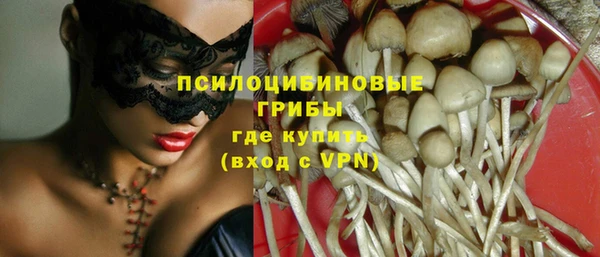 apvp Слюдянка