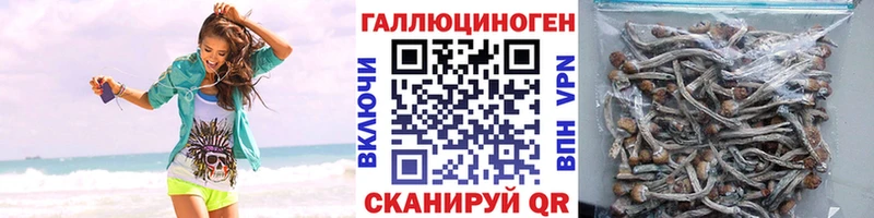 Галлюциногенные грибы MAGIC MUSHROOMS  гидра tor  Чердынь 